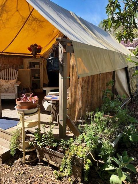 Hotel La Boheme Living Los Angeles Zewnętrze zdjęcie